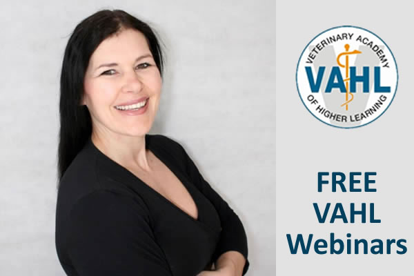 CPD at Veterinary Academy of Higher Learning - picture displays E-Learning content VAHL Webinar